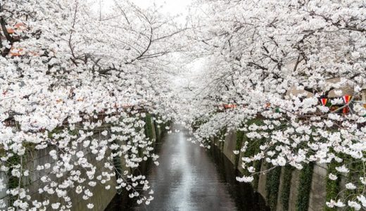 【つなぎ売り】2018年2月　楽天証券6日目　19時前在庫状況と本日の取得状況