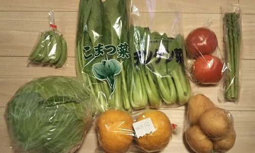 【ふるさと納税】長崎県松浦市から、野菜８種類を返礼品として貰いました！（２回目）