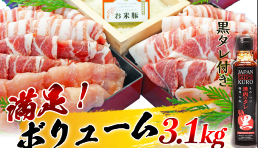 【ふるさと納税】宮崎県都城市から、ブランド豚肉3.1㎏を返礼品として貰いました！もちもちのお肉でおススメです！