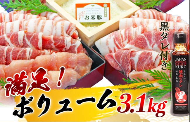 ふるさと納税】宮崎県都城市から、ブランド豚肉3.1㎏を返礼品として貰いました！もちもちのお肉でおススメです！ |  1級ファイナンシャルプランナーの副収入と節約