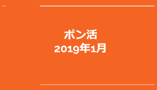 2019年1月のポン活で貰ったもの