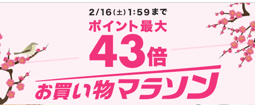 2019年2月楽天ふるさと納税で、返礼品＋15％のポイントを貰うチャンス（楽天マラソン開催中）