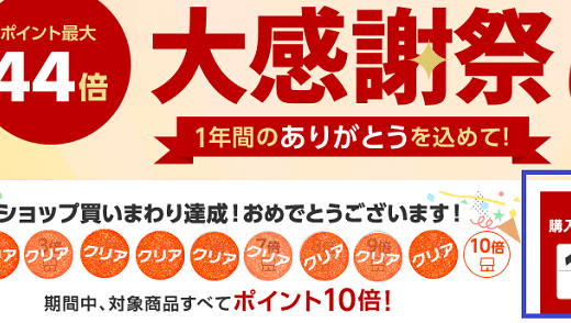 【完走】2020年12月大感謝祭で購入した商品の紹介！