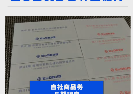 【2月8月優待】ビックカメラから自社商品券7,000円の株主優待が到着【長期認定】