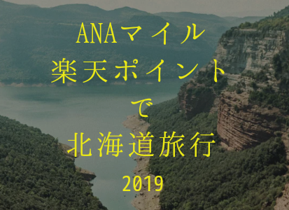【2019年】ANAマイルと楽天ポイントで北海道に家族旅行に行ってきました