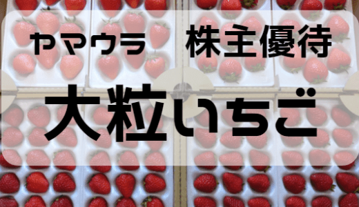 【ヤマウラ株主優待】大粒いちごが到着！