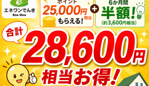 「エネワンでんき」の切り替えで28,000円相当お得！更に東京電力よりも電気代が安い！